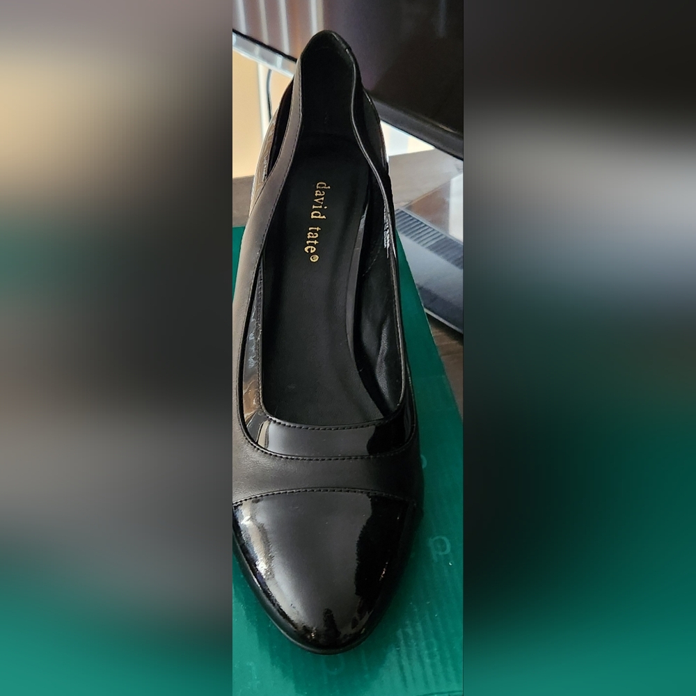 Size 12 David Tate Lovelies